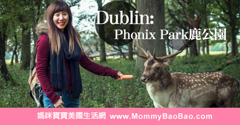 Dublin: Phonix Park鹿公園